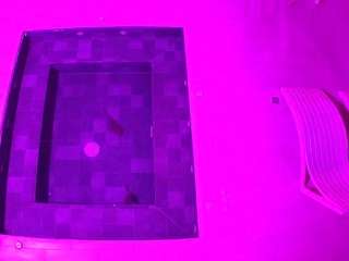 voyeurcam casa salsa hottub view